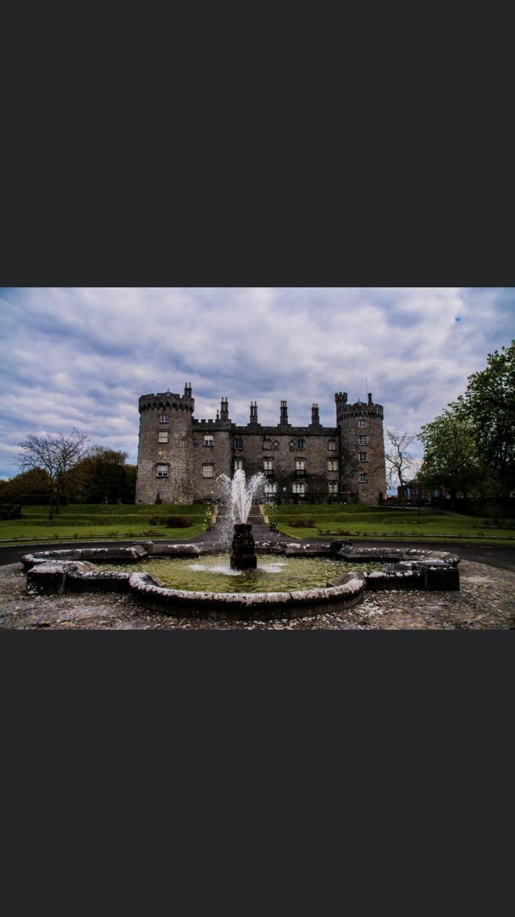 The Lodge - Rural Tipperary Bordering Kilkenny Ballingarry  Exterior photo
